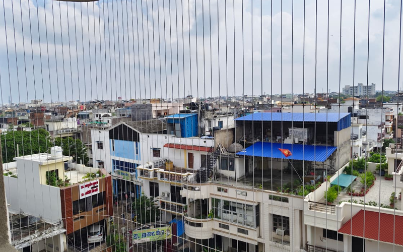 Ajay Bird  Netting & Invisible Grill Service