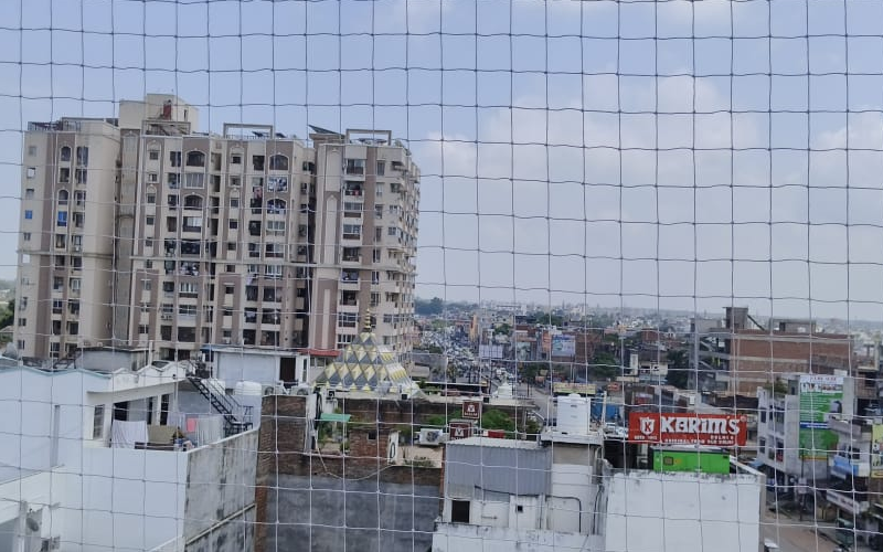 Ajay Bird  Netting & Invisible Grill Service