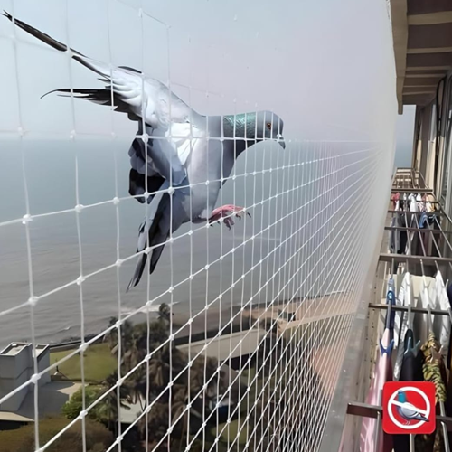 Ajay Bird  Netting & Invisible Grill Service