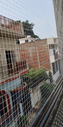 Ajay Bird  Netting & Invisible Grill Service